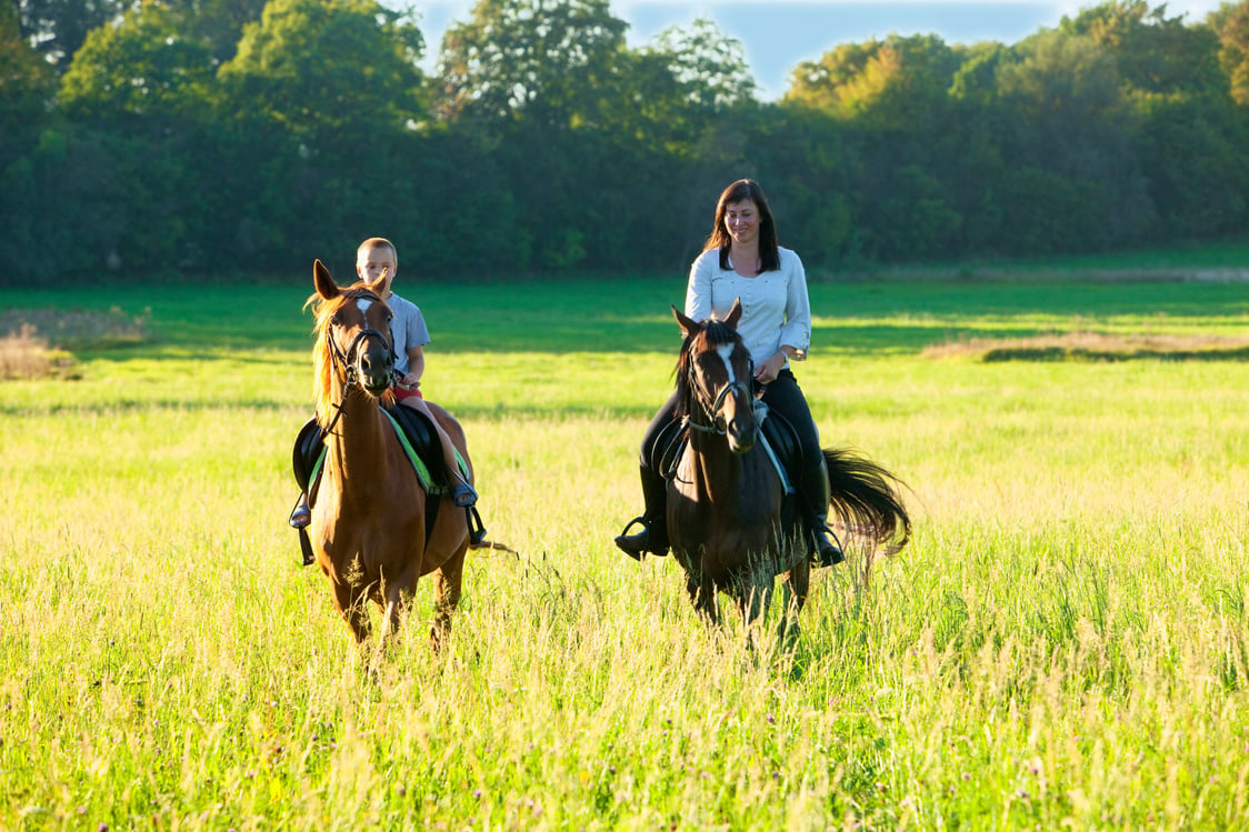 Horseback Riding Lessons